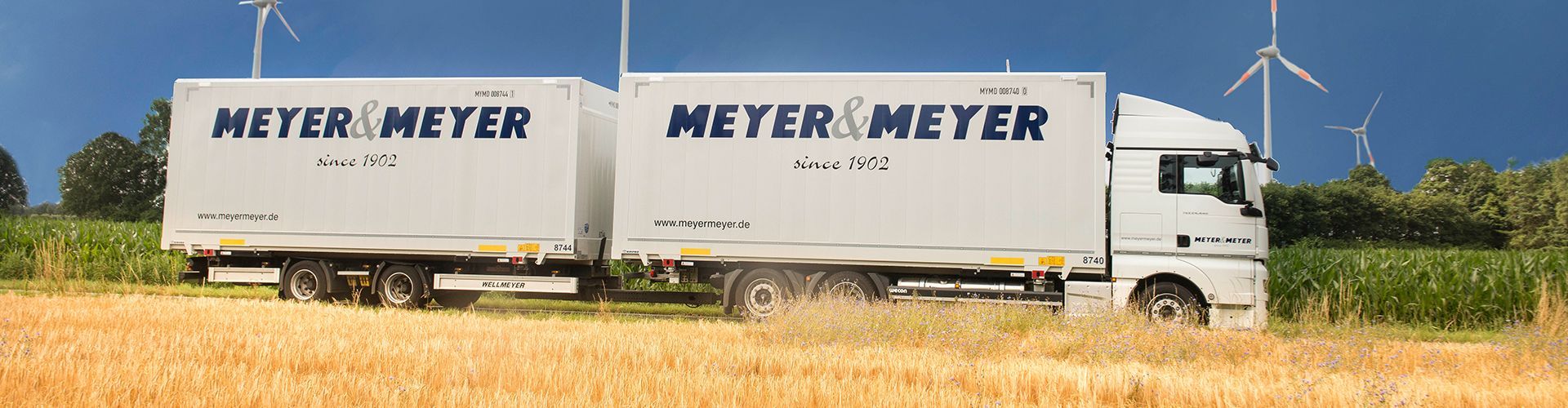 meyer-meyer