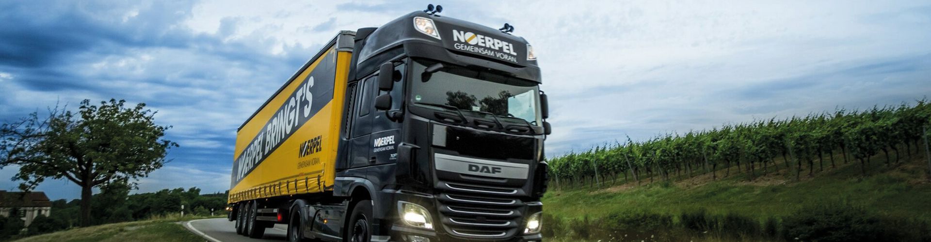 Website-Customer-Site-Banner-Noerpel