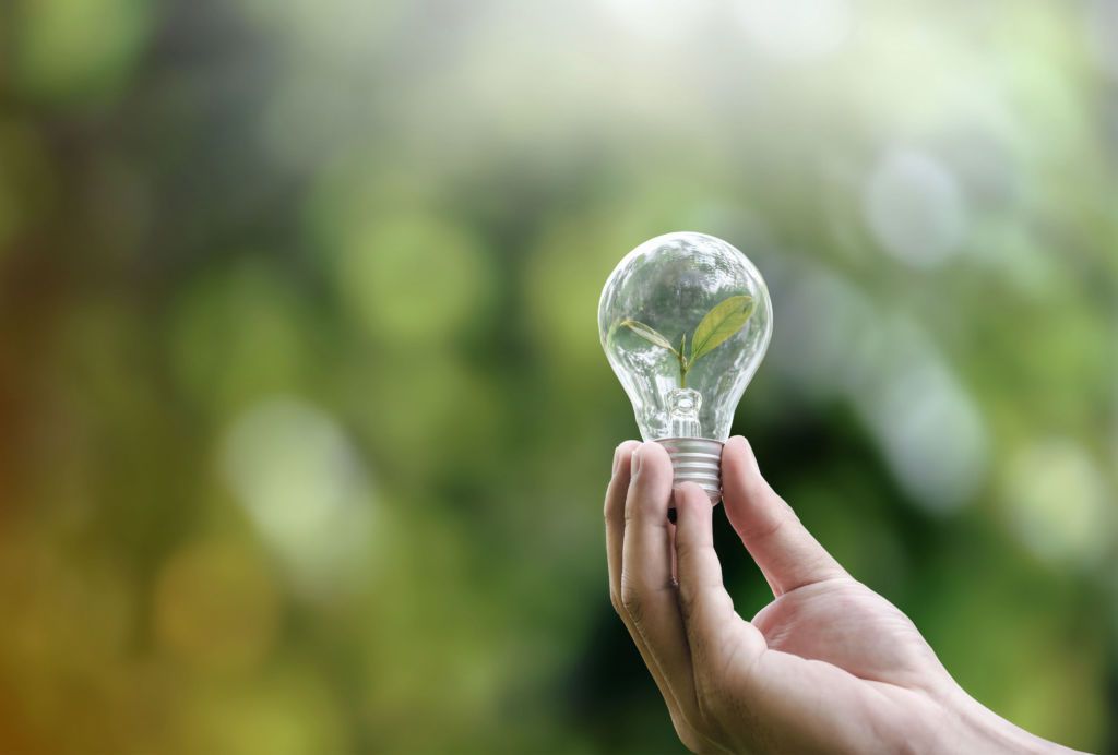 Diesmal befassen wir uns mit der Rolle digitaler Systeme im Lieferantenmanagement und damit, wie sie Unternehmen beim Aufbau und der Pflege nachhaltiger Lieferketten unterstützen können. Lernen Sie unsere wertvollen Erkenntnisse und praktischen Tipps zur Nutzung digitaler Lösungen für nachhaltige Beschaffungspraktiken kennen.