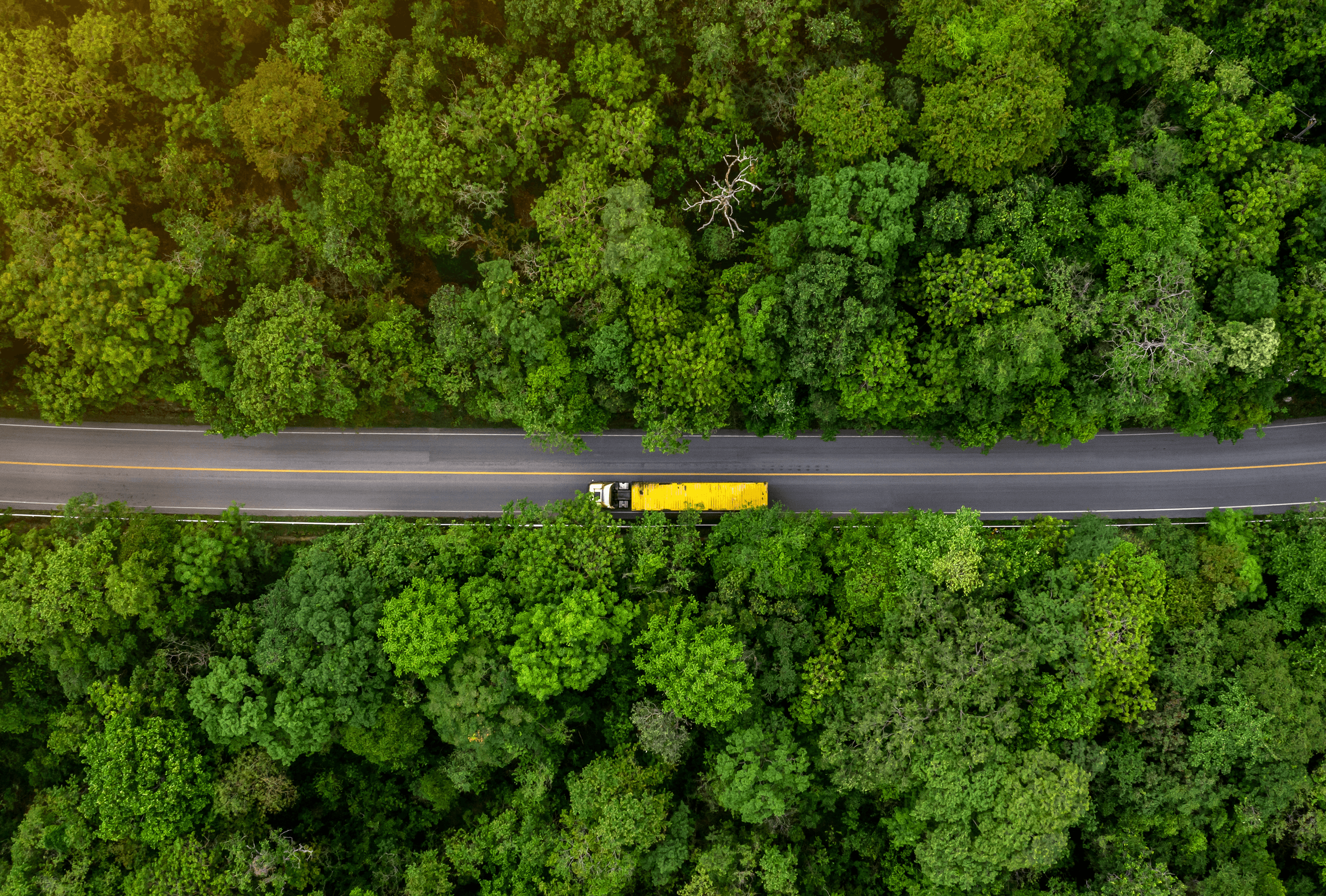 In the context of procurement, supply security is an important concept for keeping a company's business running. With the Supply Chain Act and the CSRD, it is becoming increasingly important and is now considered a basic principle in procurement. But what does this term actually mean and why is it so crucial for uninterrupted production?