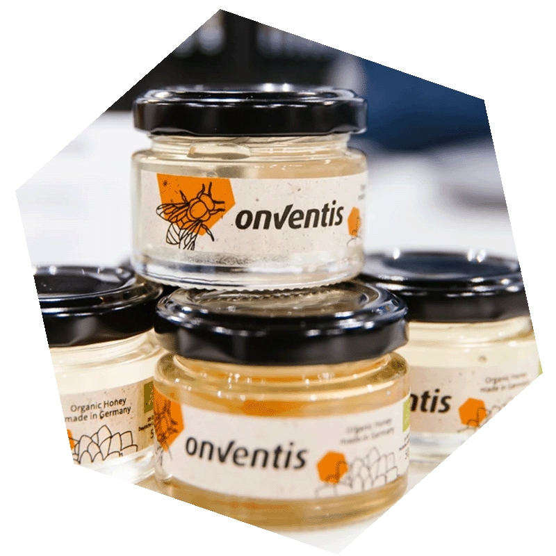onventis-honig-hexagon